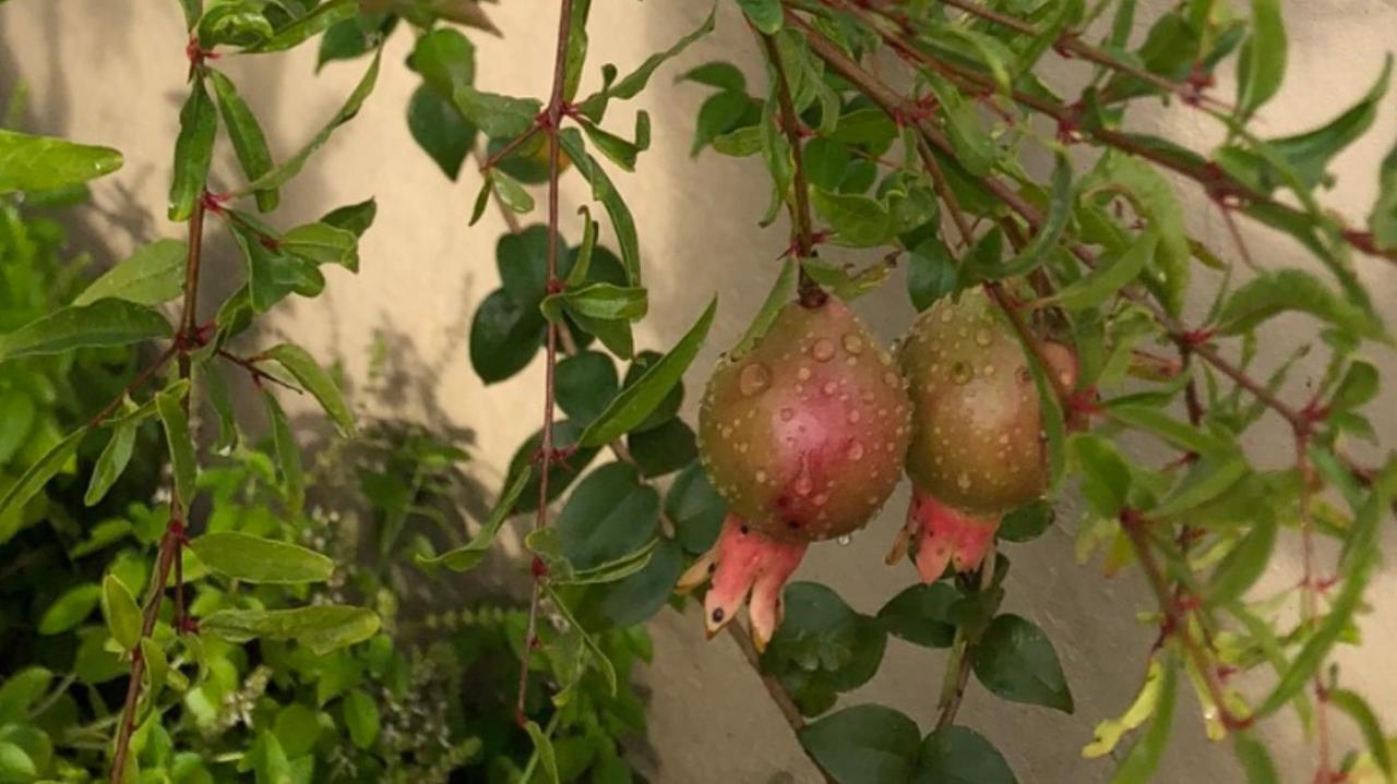 Casa Bem Espacosa Com Piscina, Campo De Futebol E Area Gourmet A Um Quarteirao Da Lagoa De Praia Seca أرارواما المظهر الخارجي الصورة